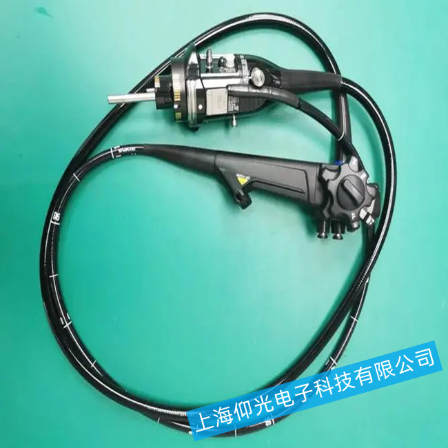 �t(y��)�ÃȸQ�R����Ҋ�����\��S��